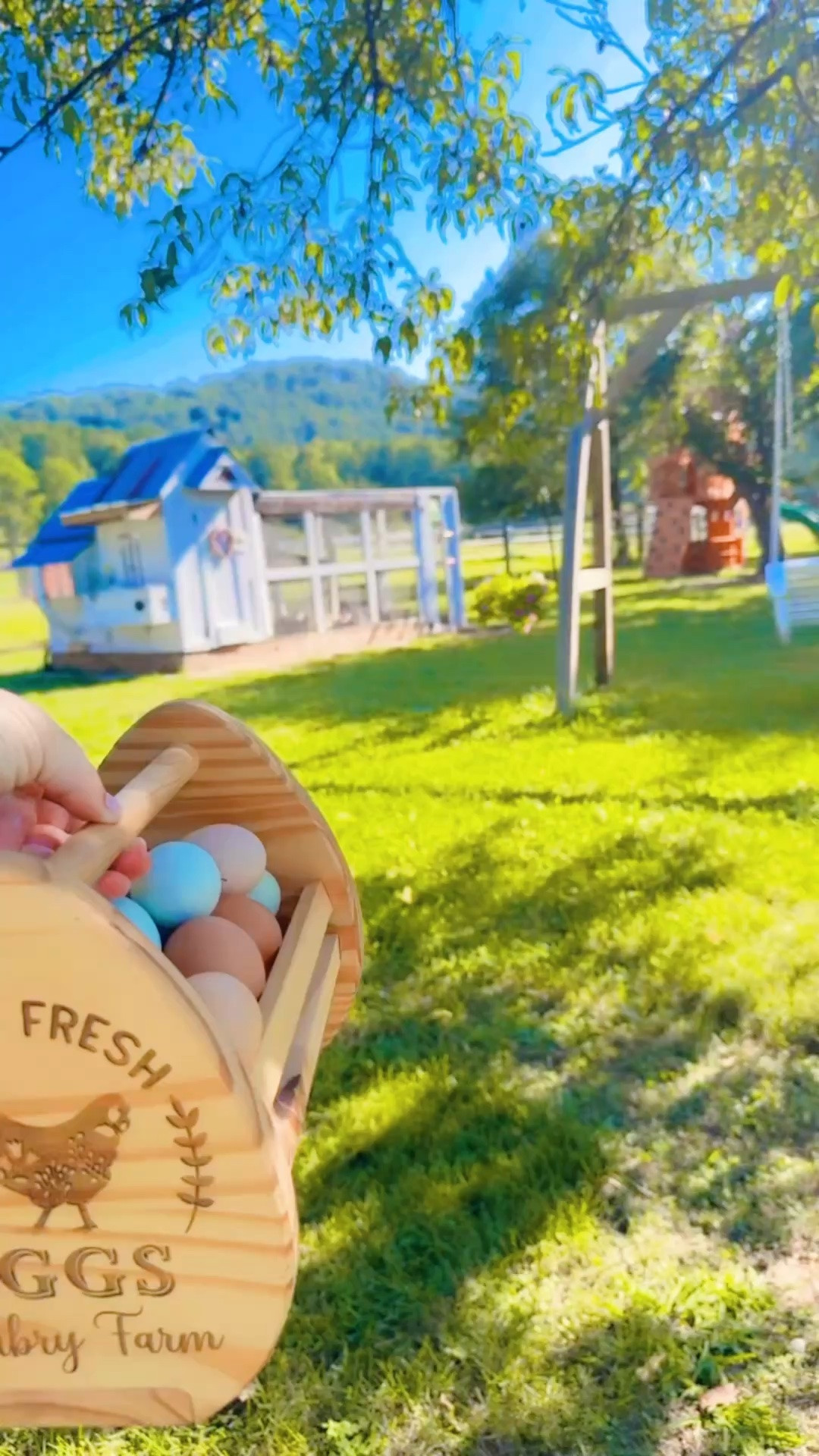 Good morning from the Mabry Farm!! 🐓🌾🧺🥚 Come spend a Monday morning with me as a SAHM and homeschool mama 🍎 of two little ones 👶🏼👶🏼 on the farm!!! 🫶🏽