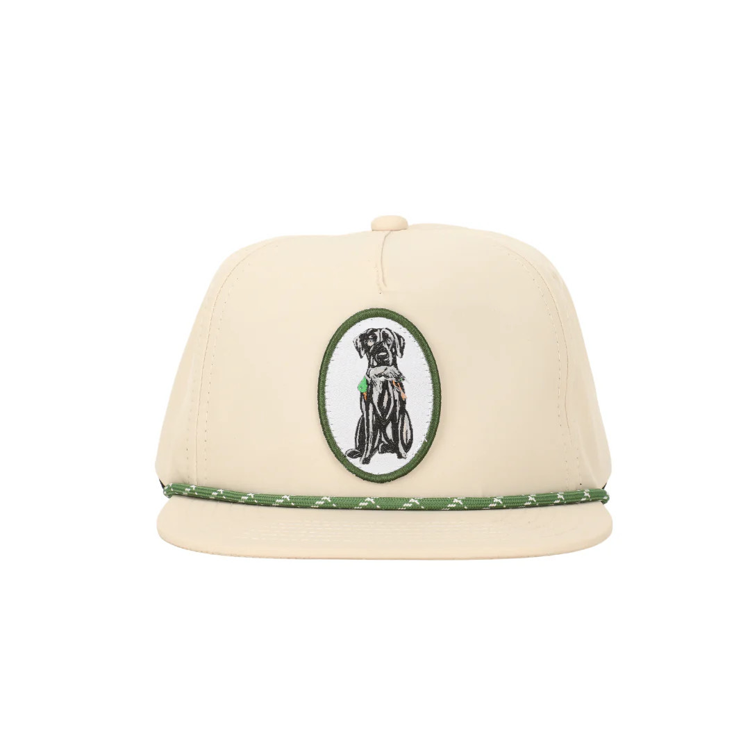 Limited Edition Collection - Black Lab | Persnickety