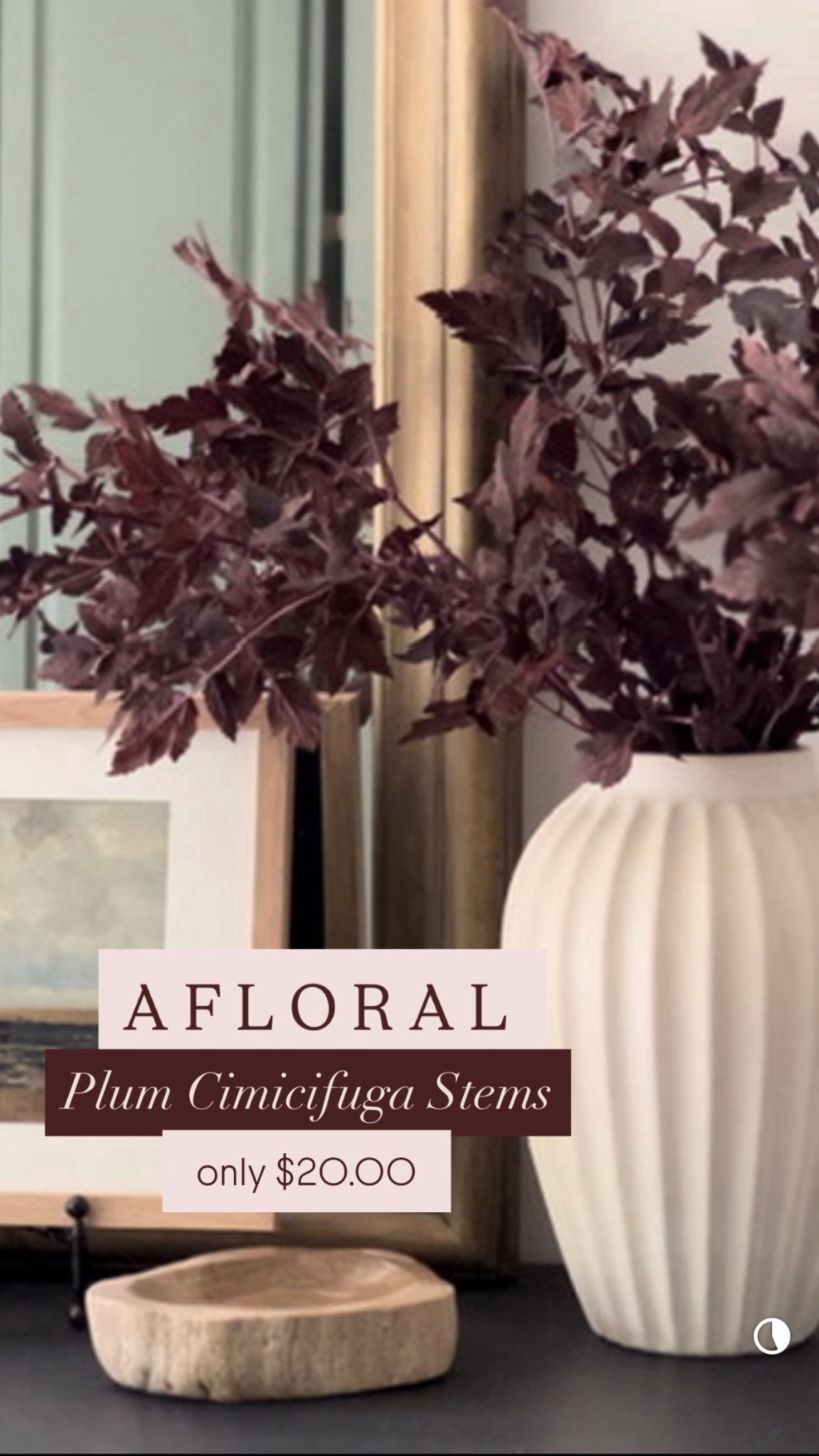 Fall decor | fall stems | afloral fall stems | home decor | kohls | fluted vase | gold arch mirror 

#LTKSeasonal #LTKHome #LTKSaleAlert