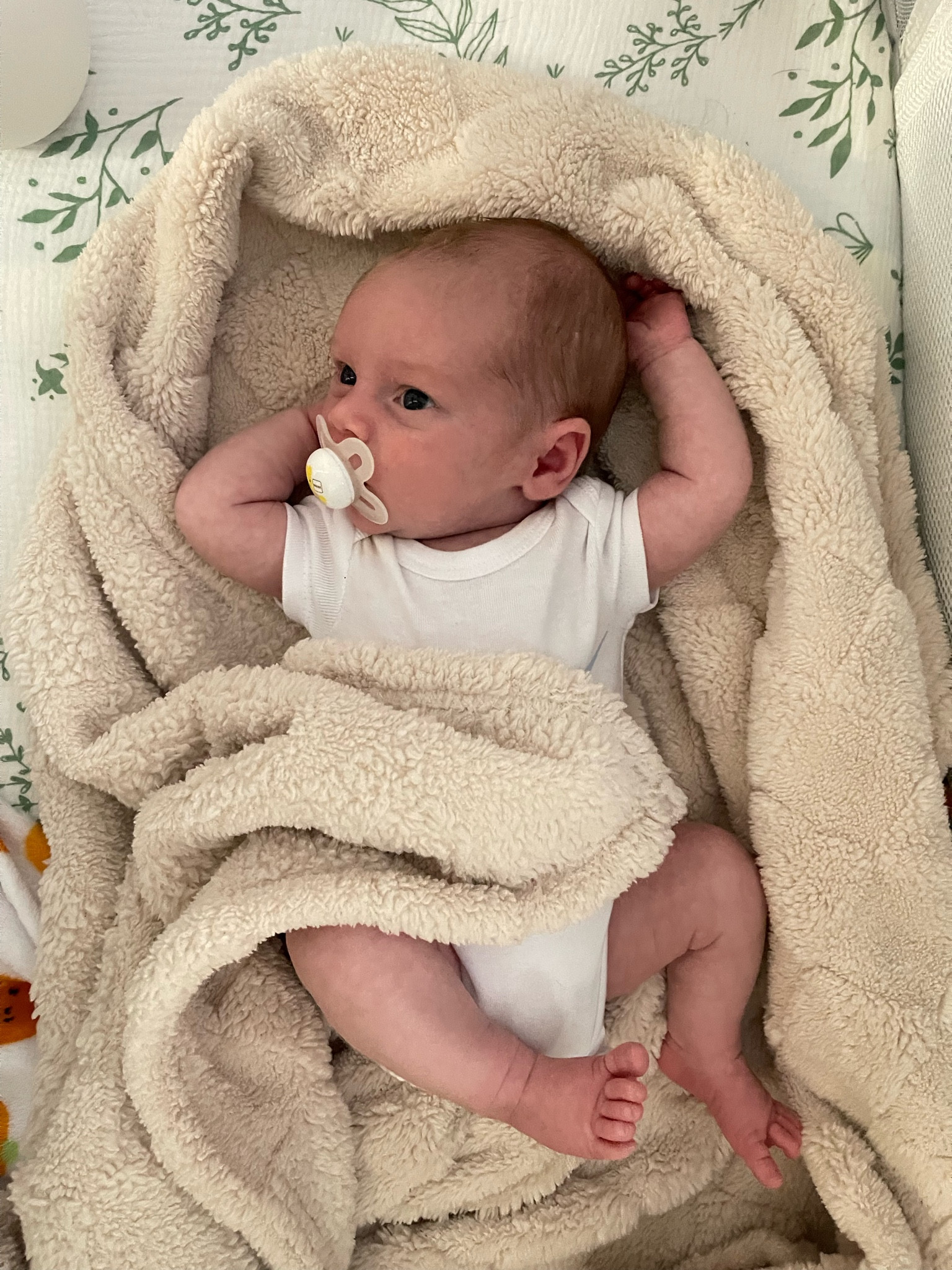 comfy bassinet sheets + blanket!

✨✨✨

#baby #babyitems #comfy #momlife 

#LTKGiftGuide #LTKSaleAlert #LTKBaby