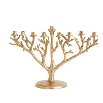Branch Menorah | Wayfair North America