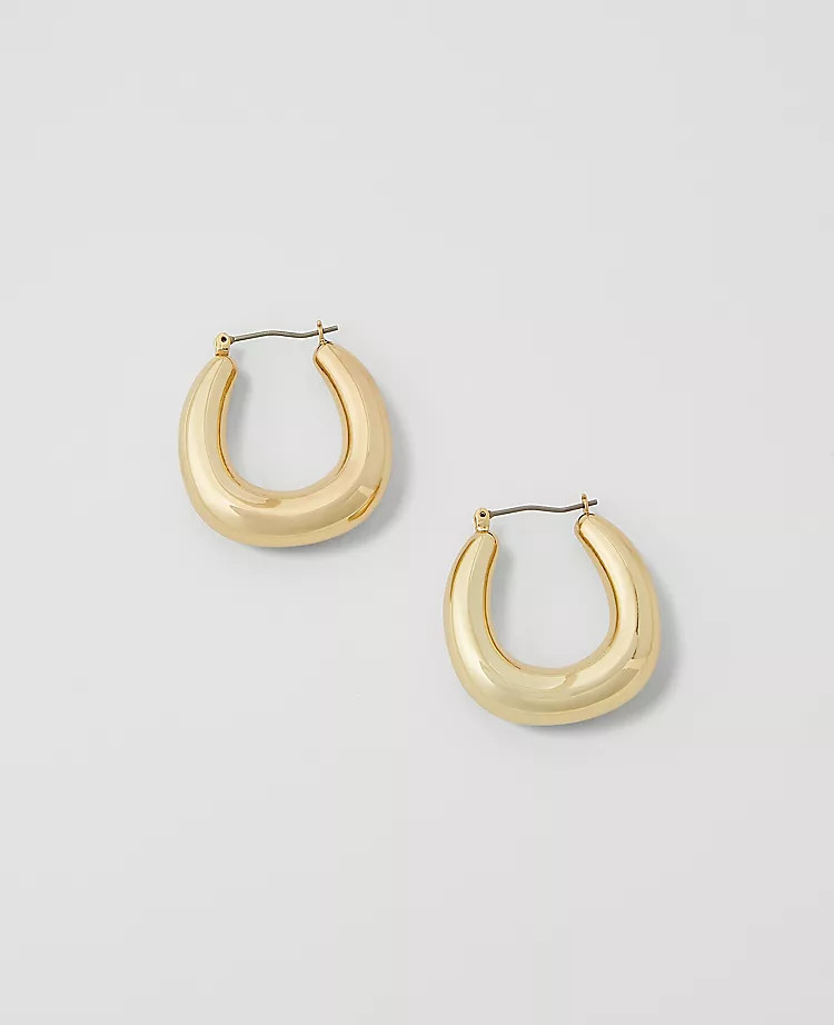 Chunky Hoop Earrings | Ann Taylor (US)