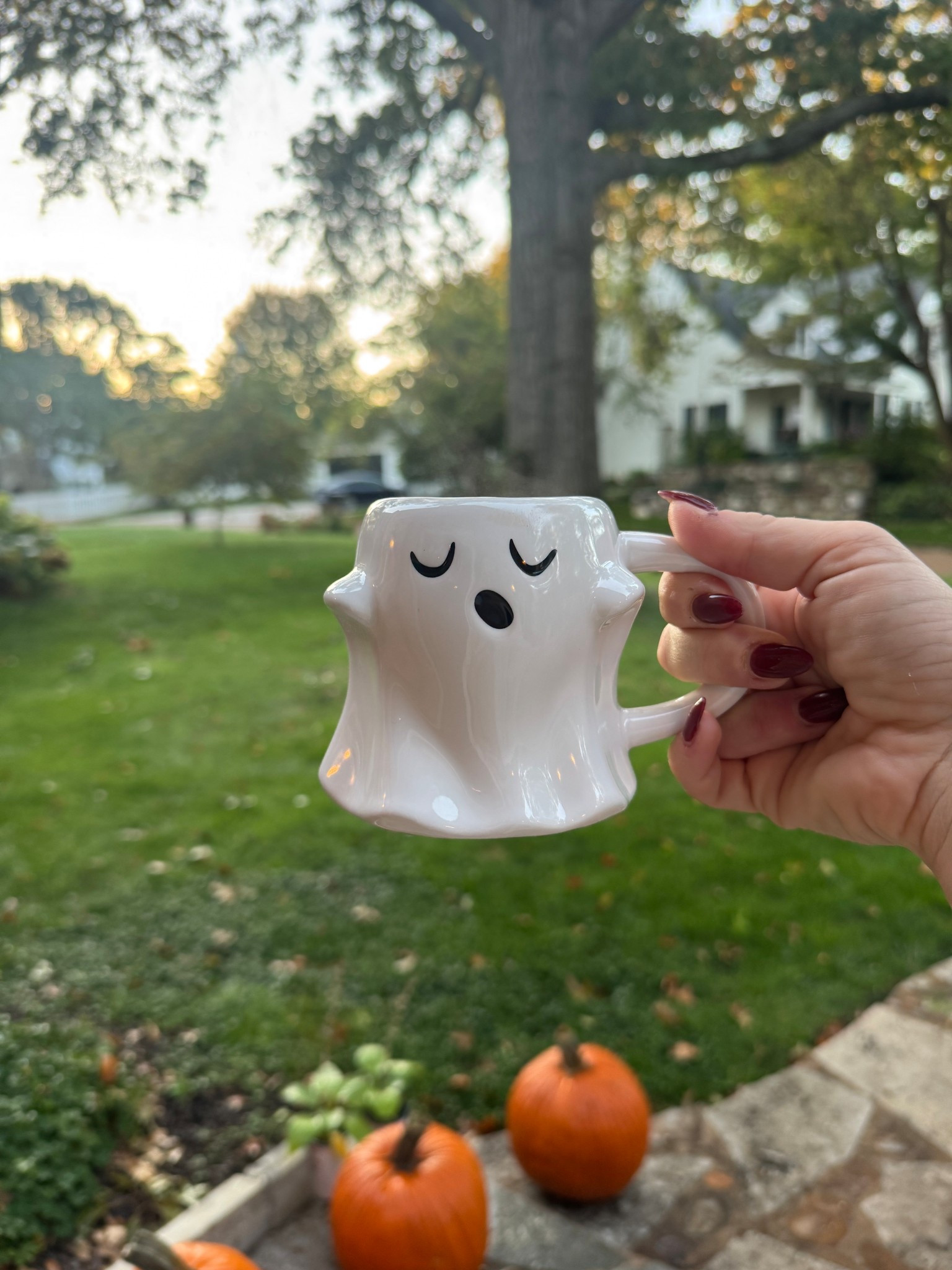 Is there anything cuter than a themed mug! All my favorite fall and Halloween mugs 👻

#LTKHalloween