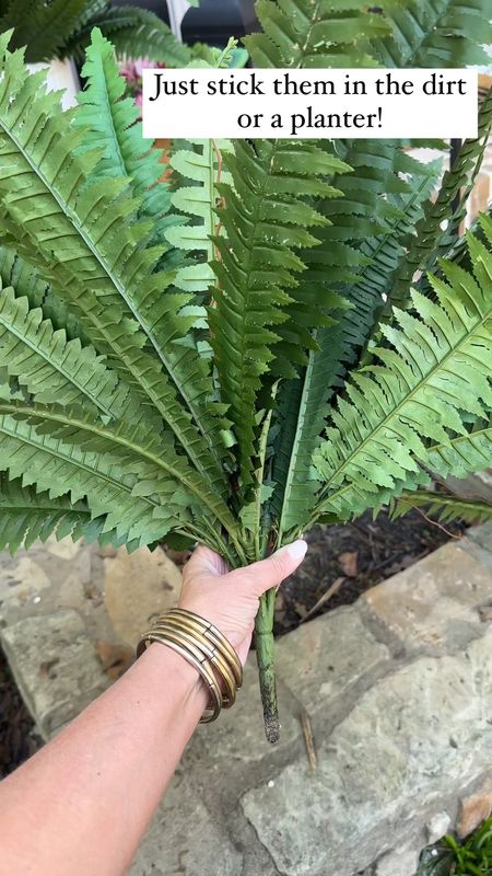 Faux ferns from Amazon!! Plants I can't kill! 
.


#LTKhome #LTKSeasonal #LTKfindsunder50