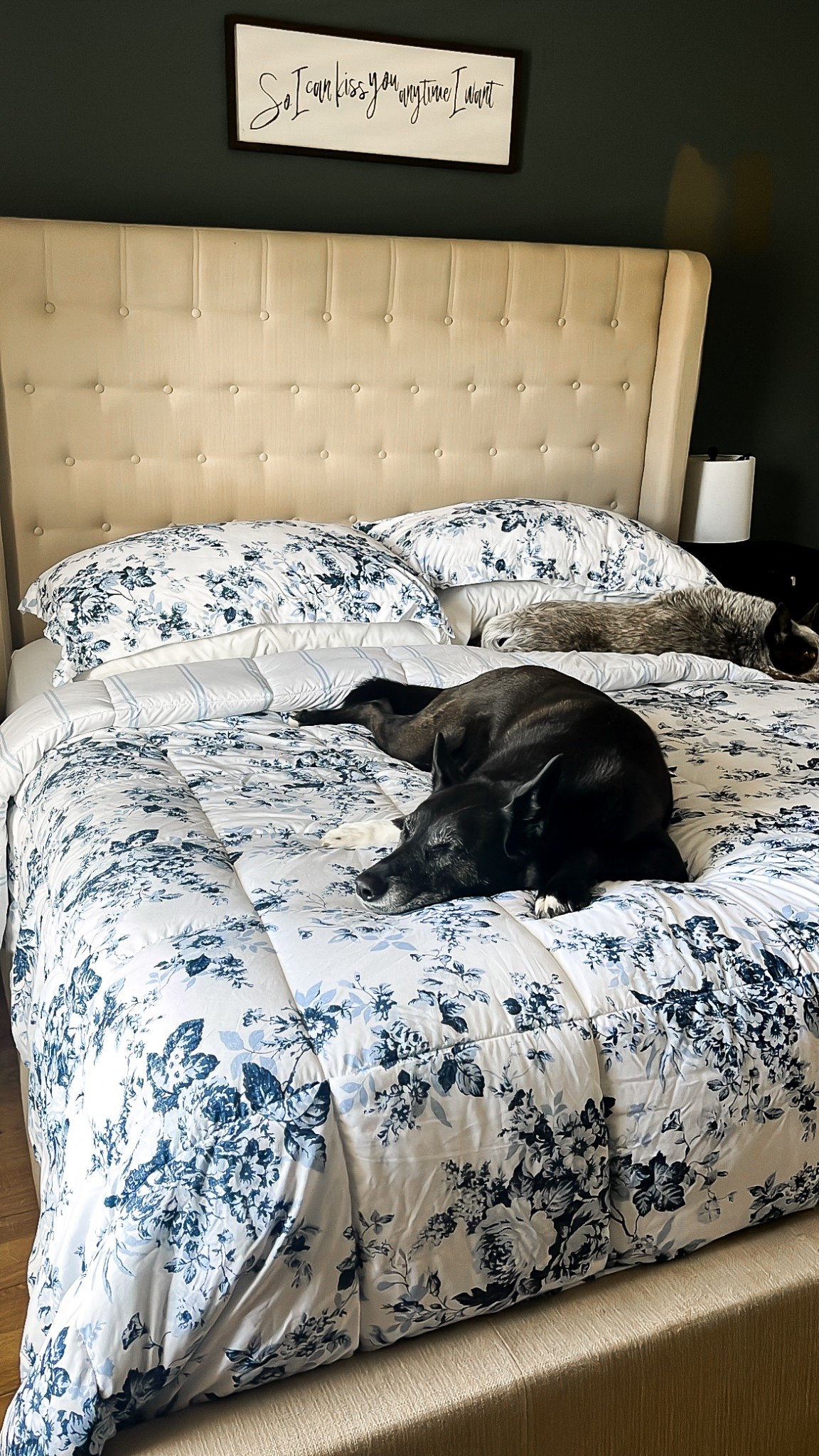 Loving our new bedding for spring! 🤩🩵

#LTKFindsUnder100 #LTKHome #LTKSeasonal