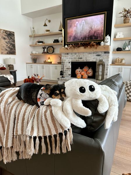 Kiwi loves the Spider pillow. 🕸️🎃 It’s her fave. This chenille throw blanket is a great dupe for the barefoot dreams blanket too! It’s so soft.

Pottery barn pillow, pottery barn dupe 

#LTKhome #LTKSeasonal #LTKHalloween