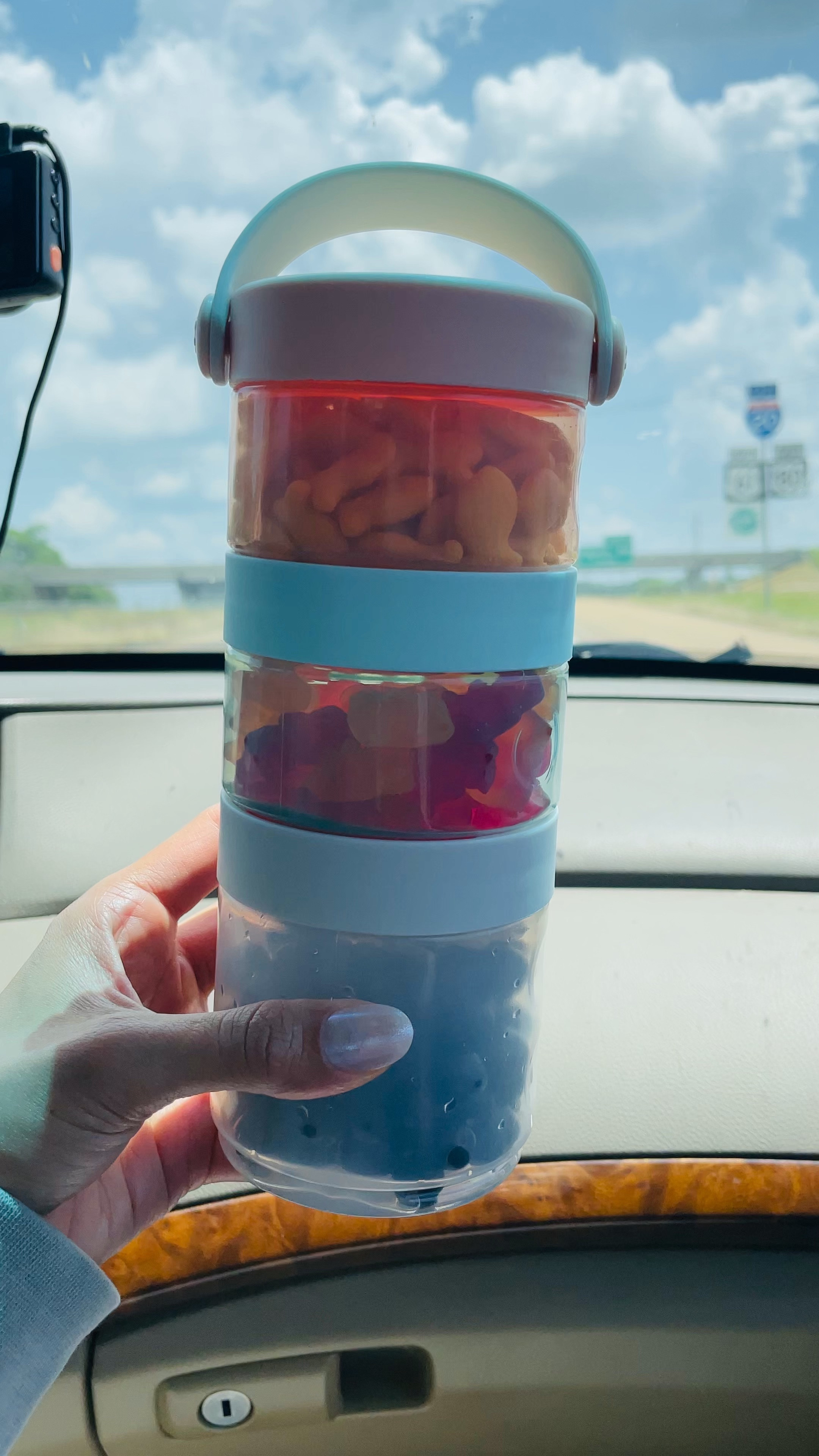Snacks on the go! 
This container came in handy on our road trip! 
🚘🚦🍇🫐

#LTKtravel #LTKkids #LTKbaby