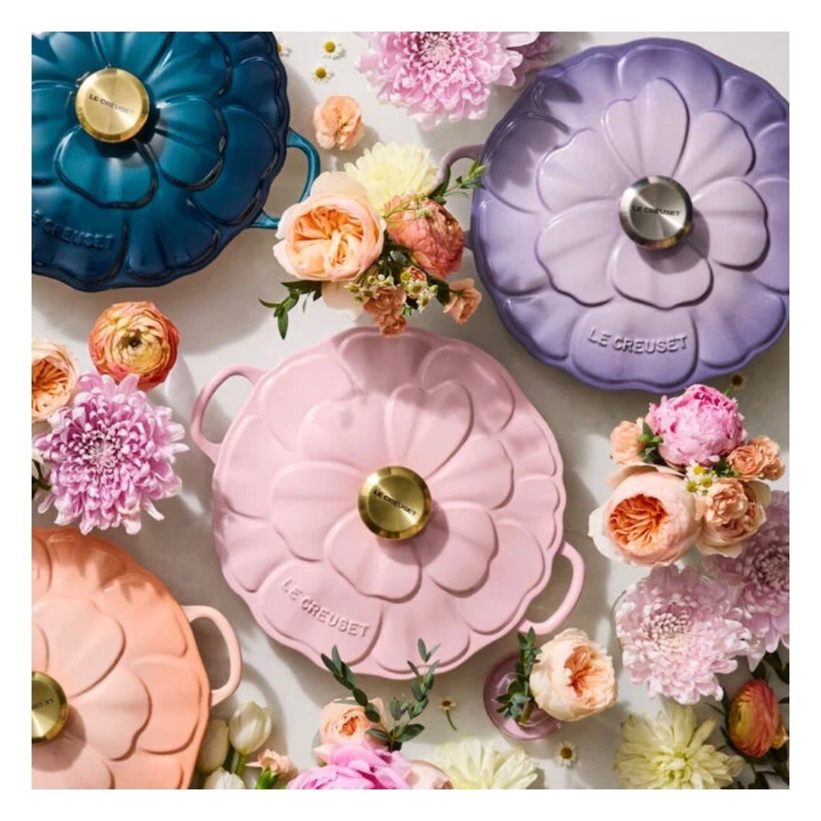 These are the most beautiful cast iron braisers by Le Creuset! Perfect for cooking your favorite dishes. New colors have arrived just in time for spring! I’m so excited about the pink and blue! Which one is your favorite?

#LTKHome #LTKfoodie #LTKSeasonal