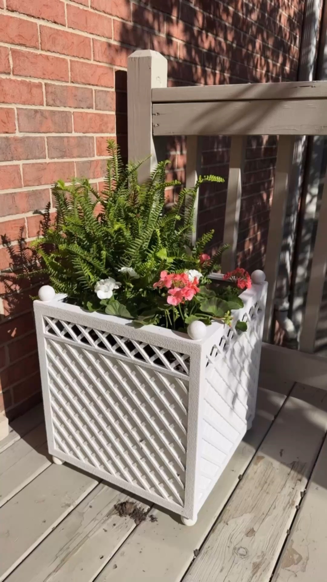 Gorgeous Target Planters I love! 💕

#LTKmomlife #LTKselfcare #LTKHome