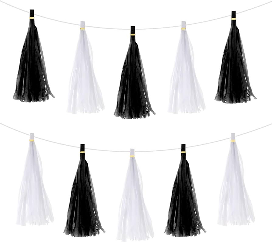 MECCANIXITY 20Pcs Black,White Tassel Garland Banner with Rope Tissue Paper Tassels Party DIY Kits... | Amazon (US)