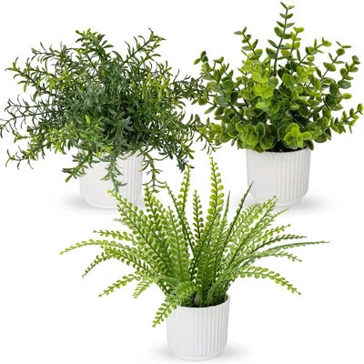 3 Pack Fake Plants Artificial Plants In Pots Small Faux Plant Eucalyptus Rosemary Boston Fern Potted Plant Greenery Aesthetic Indoor Home Decor Bathro | Wayfair North America