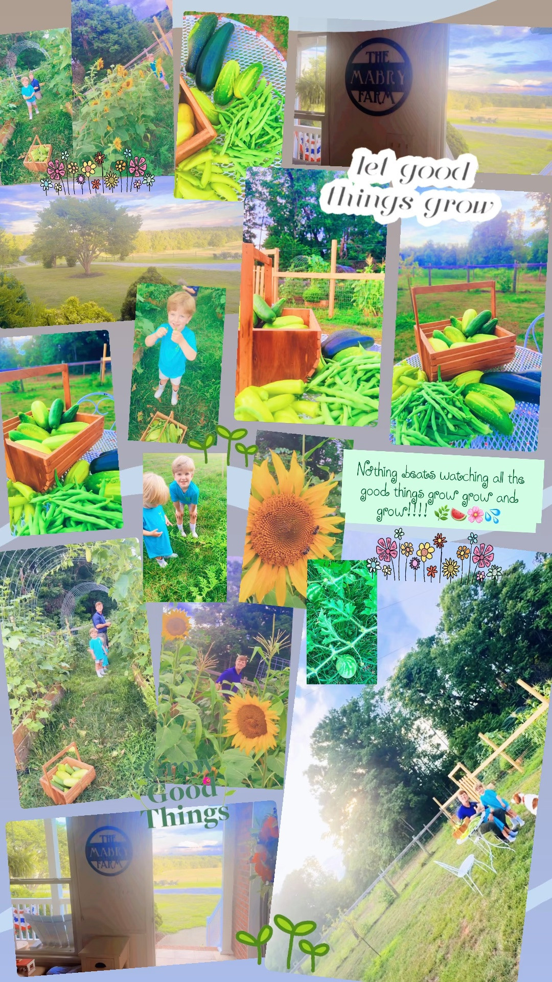 Nothing beats watching all the good things grow grow and grow!!!! 🌿🍉🌸💦