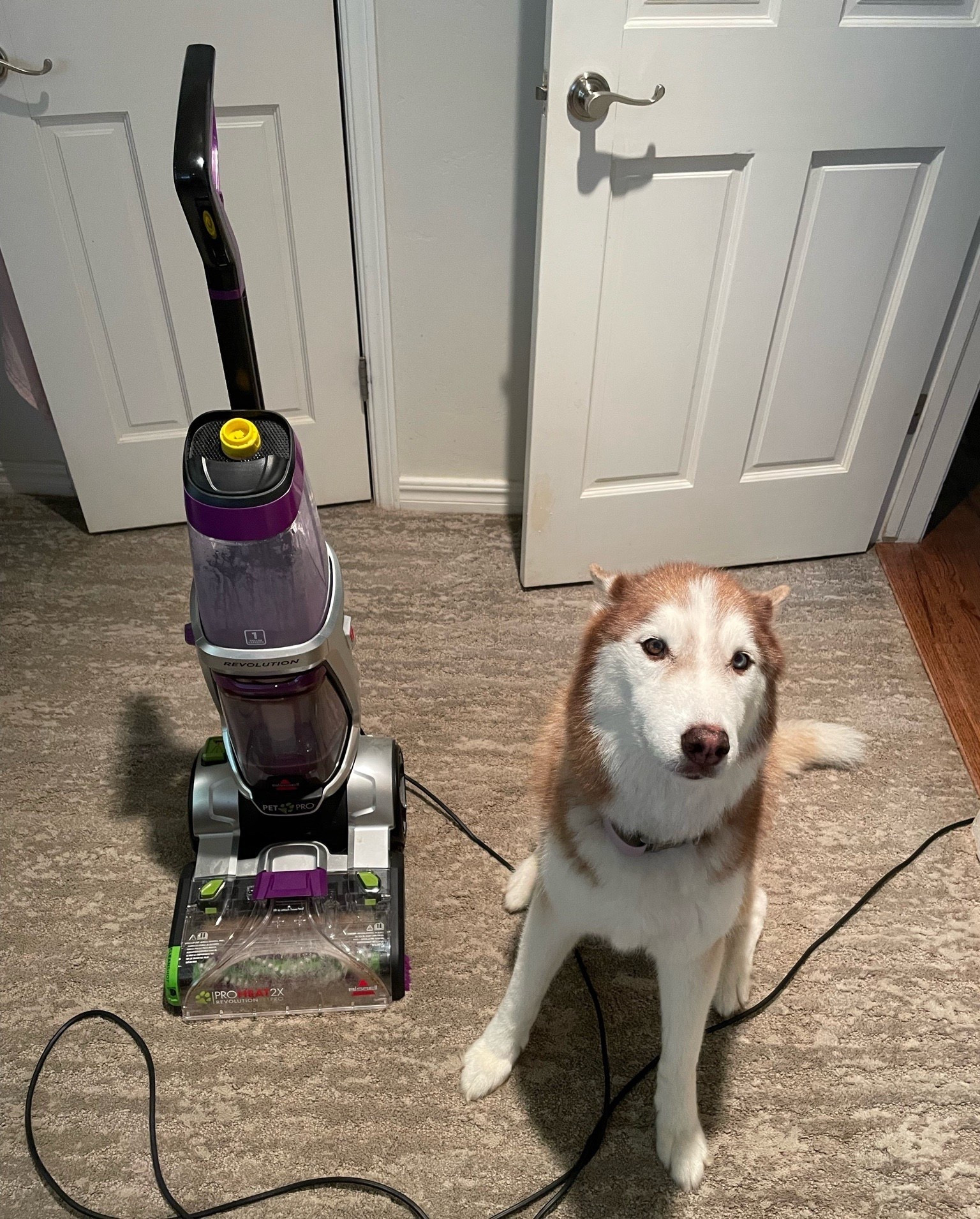 Black Friday finds! My carpet shampooer is on sale! It’s a must have in any home and would make a Perfect gift 

Cleaning, carpet cleaning, spring cleaning, pets, home, household appliance, carpet cleaner solution, wedding gift, birthday gift, black Friday, carpet, cyber week, cyber Monday, target, target finds, Black Friday sale 

#LTKGiftGuide #LTKCyberWeek #LTKHome