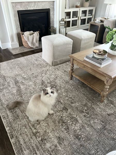 New 2024 Spring Rug Collection from Amber Lewis x Loloi.  This is the Honora in grey/beige (HON-04). 

Vintage inspired rugs / spring rug / living room / ottomans / brass lanterns / baskets / throws 

#LTKfindsunder50 #LTKfindsunder100 #LTKhome