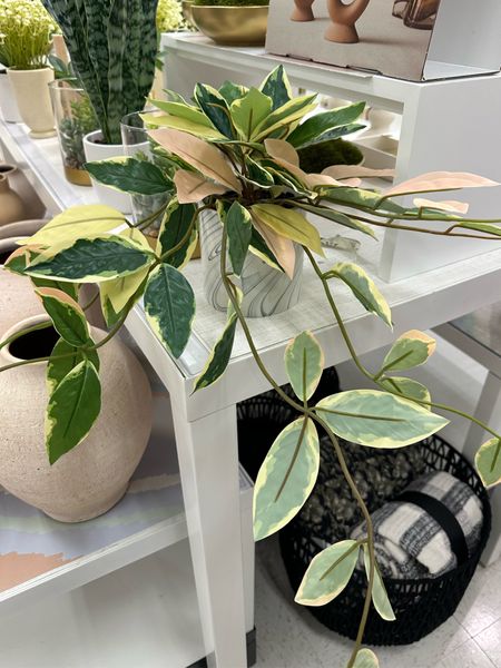 Another gorgeous faux plant from Target! This one is only $15 and comes in a beautiful marbled pot!  

#LTKfindsunder50 #LTKSeasonal #LTKhome