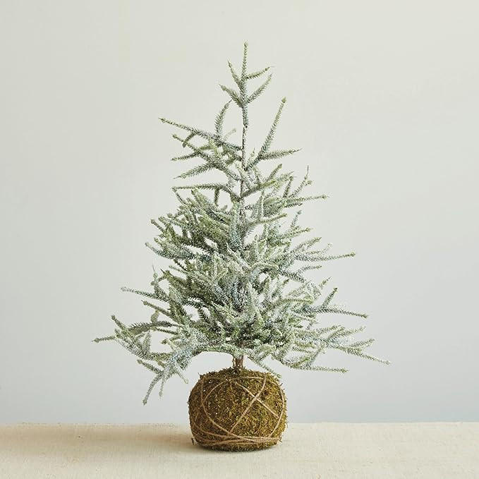Creative Co-Op Faux Spruce Tree with Moss Ball Base and Frost Finish, Green | Amazon (US)