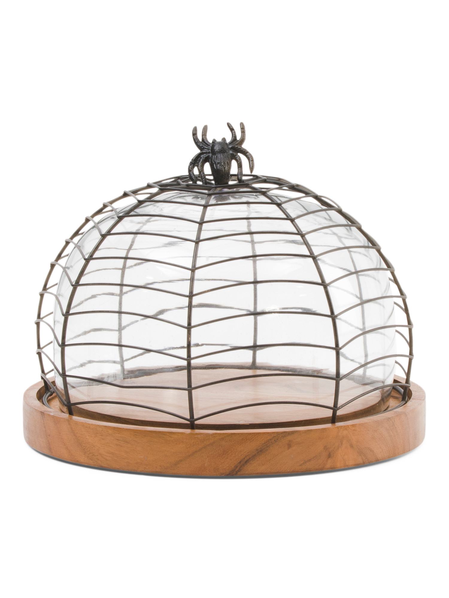 Spider Dome Server | Halloween | Marshalls | Marshalls