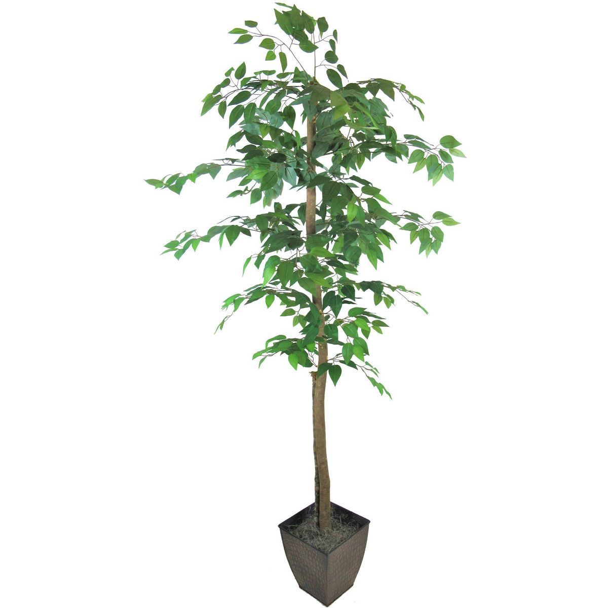 6' Artificial Ficus Tree in Embossed Metal Base (Square) – LCG Florals | Target