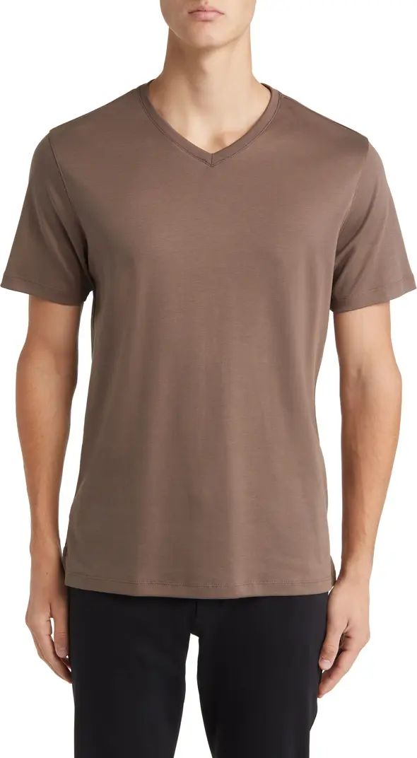 Georgia Regular Fit V-Neck T-Shirt | Nordstrom