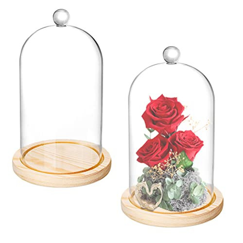 Lyellfe 2 Pack Cloche Glass Dome, 8'' x 5'' Dome Cloche with Rustic Wooden Base, Glass Cloche Bell Jar Display for Plants, Fairy Lights or Table Decor | Amazon (US)
