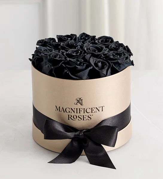 Magnificent Roses® Preserved Black RosesSee product detailsPremier Preserved Black Roses$200.00C... | 1800flowers.com
