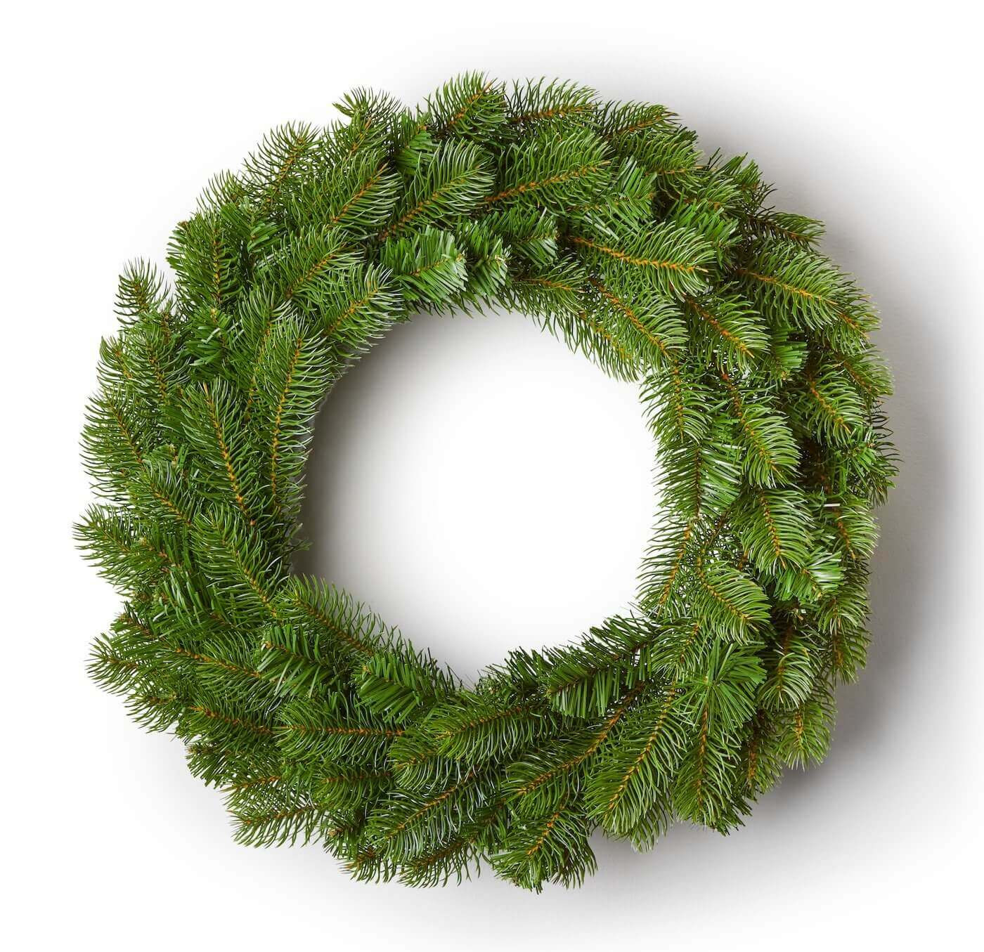 36" King Douglas Fir Wreath With 150 Warm White LED Lights | King of Christmas