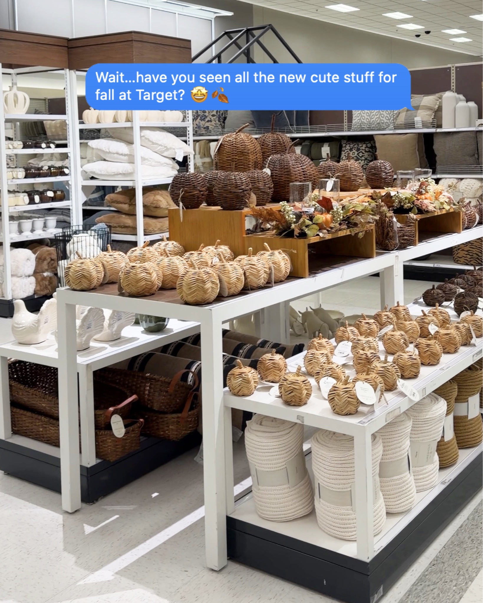 📱 Random things I’d be texting my friend… 

I spotted these while shopping at Target and had to share because there are some really good fall home pieces right now!

#targetfalldecor #newattarget #falldecor

#LTKHome