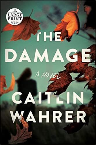 The Damage: A Novel (Random House Large Print)



Paperback – Large Print, June 29, 2021 | Amazon (US)