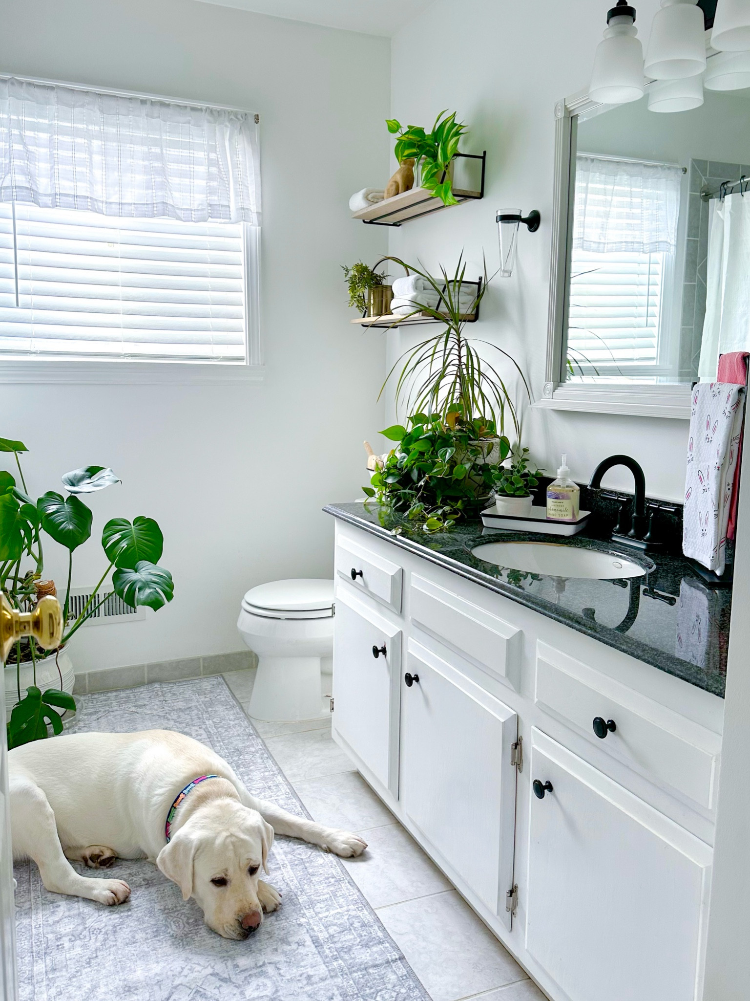 Bathroom spring refresh 

#LTKSpringSale #LTKfindsunder100 #LTKhome