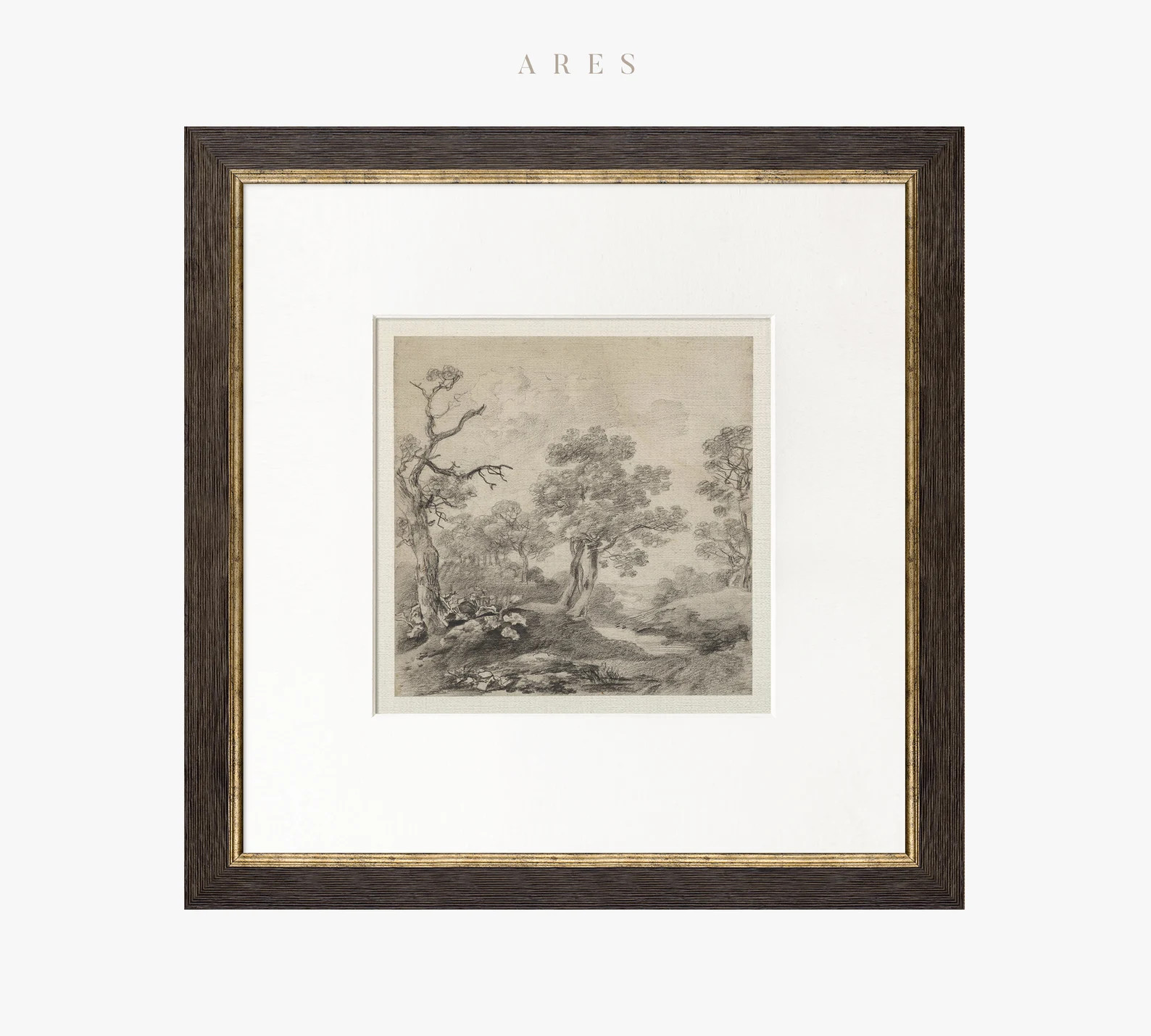 Vintage Art Framed Matted , Tree Wall Art Print, Forest Landscape Drawing, Tree Sketch Art, Squar... | Etsy (US)