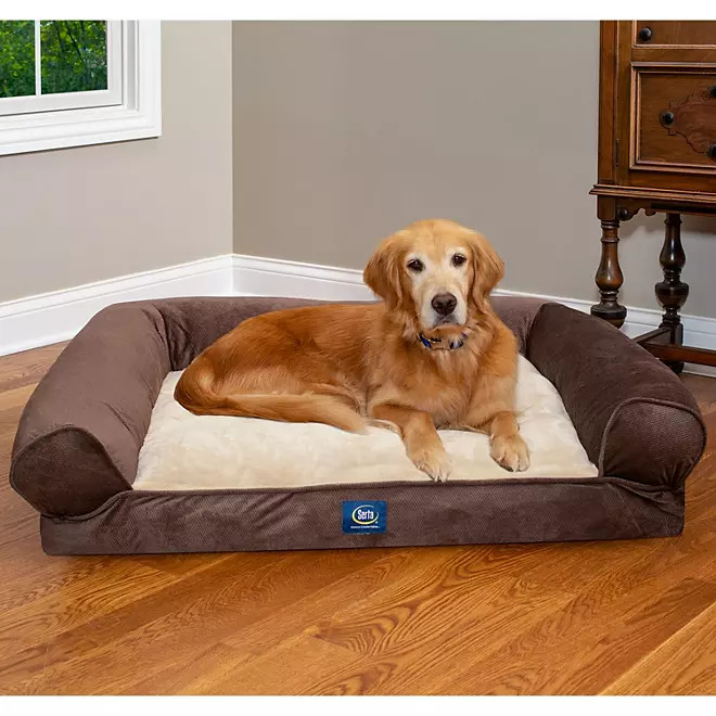 Serta XL Round Bolster Couch Pet Bed, 40" x 30" (Choose Your Color) - Sam's Club | Sam's Club