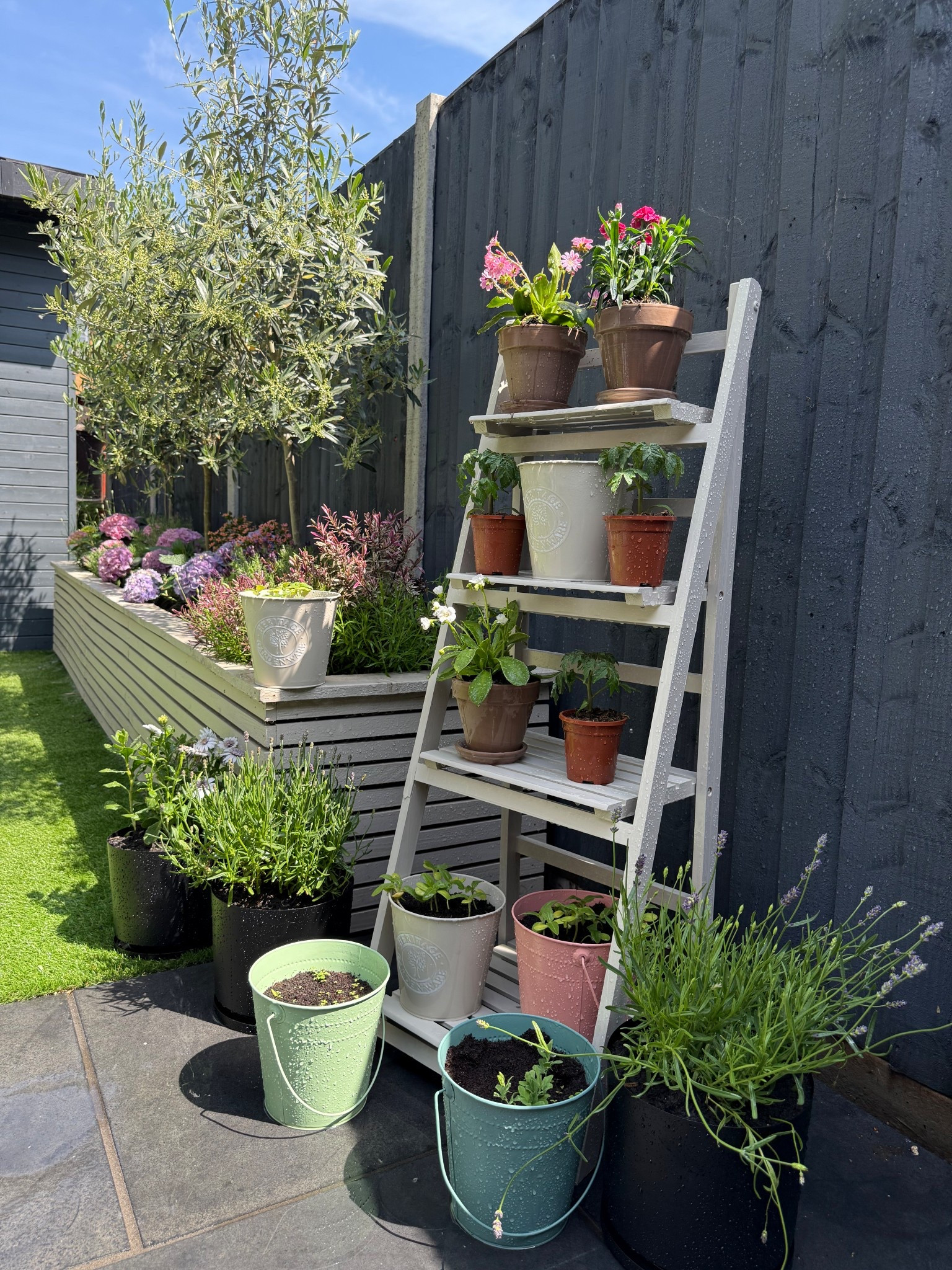 Plant ladder styling 🪴

#LTKuk #LTKhome #LTKspring