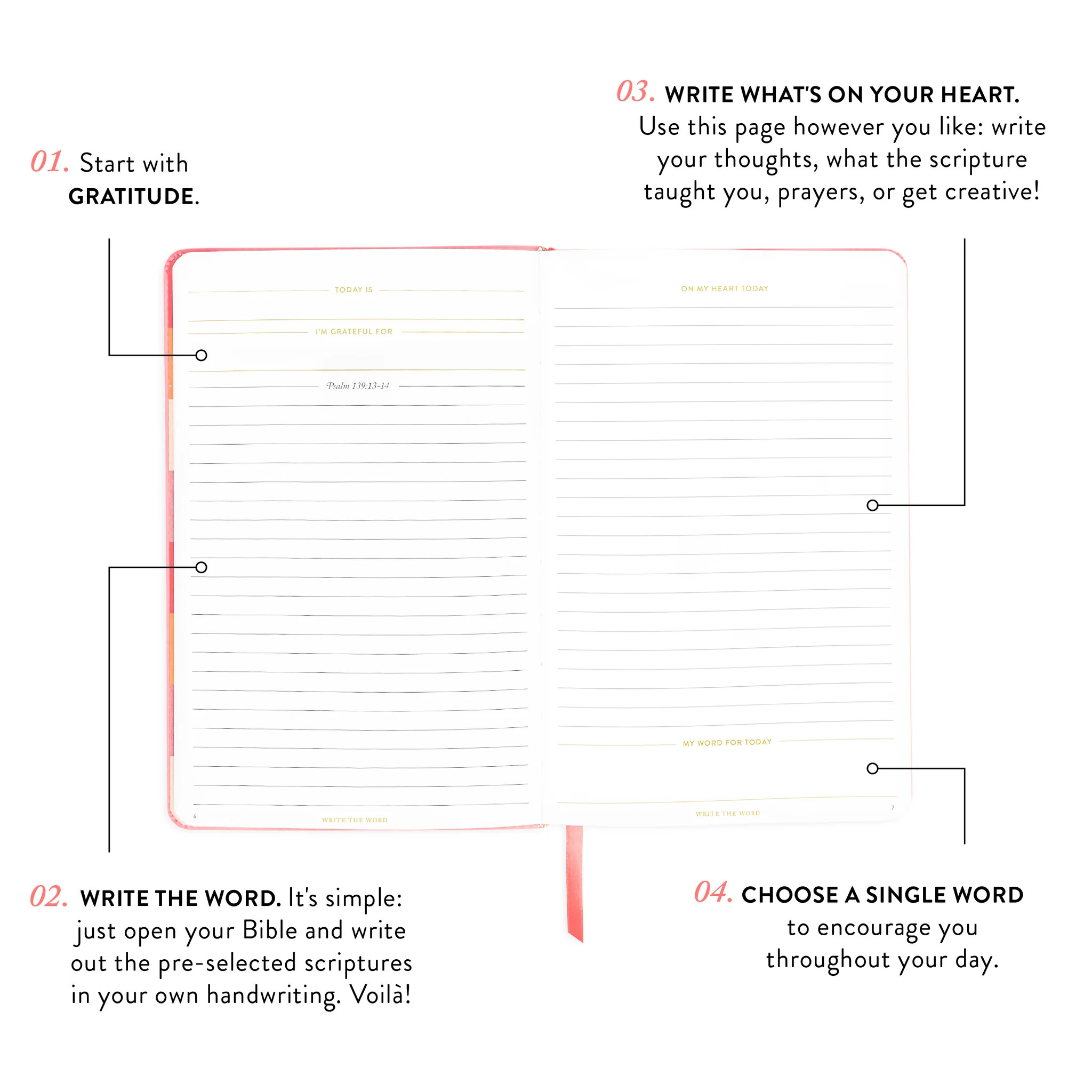 Write The Word® Journal | Cultivate Faith | Cultivate What Matters 