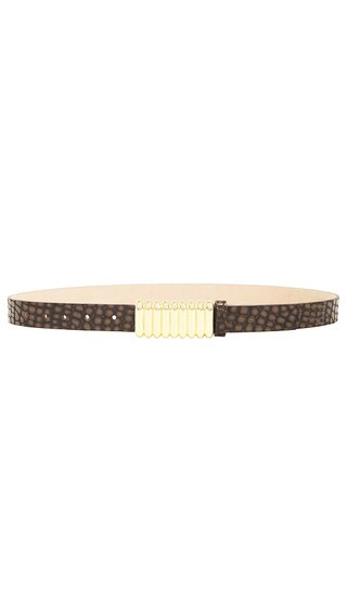 Pebble Belt in Gold & Brown | Revolve Clothing (Global)