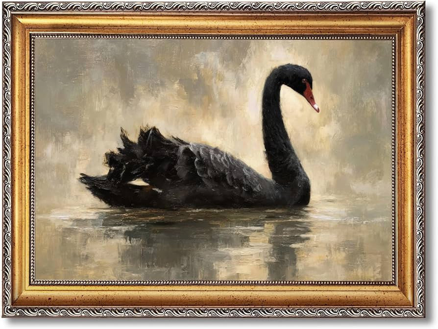 Large Framed Moody Vintage Black Swan Painting Wall Art Rustic Bird Canvas Print Poster Elegant S... | Amazon (US)