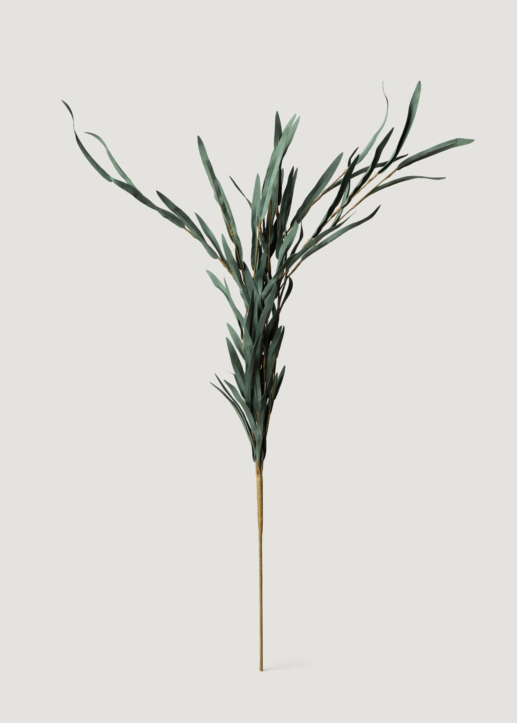 Weeping Willow Branch | Artificial Foliage and Greenery | Afloral | Afloral