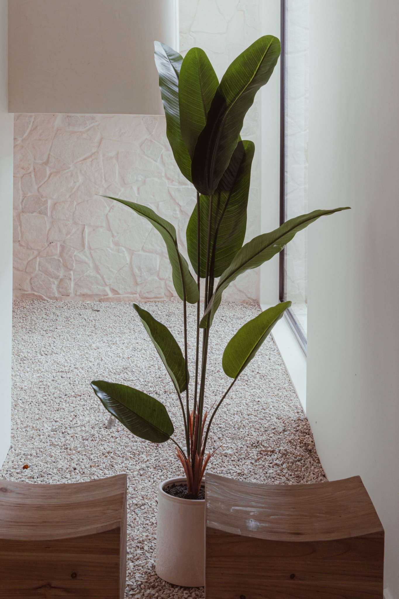 One of my favorite faux greenery finds from Target! 🌴 It also comes in a smaller size that I love to use on kitchen counters, dressers, or coffee tables! 🌿

#LTKFindsUnder50 #LTKHome #LTKSeasonal