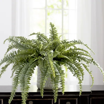 20" Boston Fern Artificial Plant - 60 Silk Fronds, 48" Wide, UV Resistant Faux Greenery for Indoor Outdoor Decor | Wayfair North America