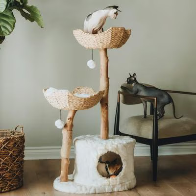 Mau Cento 46-in Modern Wooden Cat Tree & Condo, White | Chewy