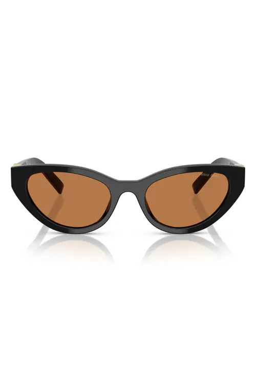 Miu Miu 54mm Butterfly Sunglasses in Black/brown at Nordstrom | Nordstrom