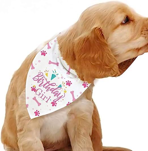 Blue Leaves Dog Birthday Bandana, Birthday Girl Dog Birthday,Dog Party Supplies, Dog Birthday Pho... | Amazon (US)