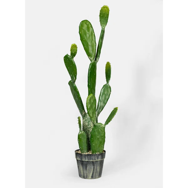 34" Artificial Cactus Plant in Pot | Wayfair Professional