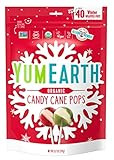 YumEarth Holiday Organic Candy Cane Pops, 40 Winter Wrapped Pops, Allergy Friendly, Gluten Free, ... | Amazon (US)