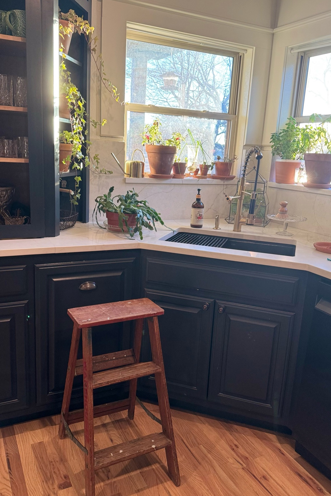 Bringing in my potted ivy and herbs from the greenhouse while the weather gets below freezing for a few weeks🪴

#LTKSeasonal #LTKHome