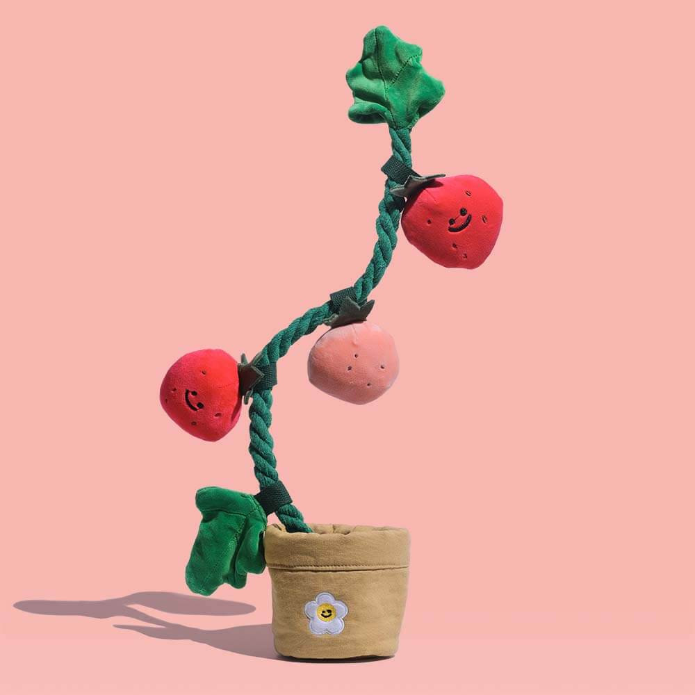 Plush Squeaky Dog Toy - Strawberry Potted | FunnyFuzzy Affiliate Program