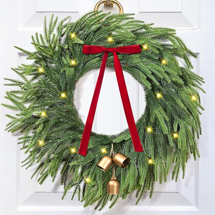 Christmas Wreaths for Front Door - 24 Inch Christmas Wreath with Lights, Real Touch Norfolk Pine ... | Amazon (US)