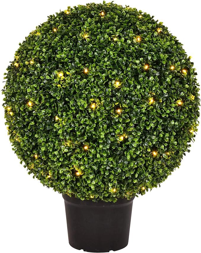 Vickerman Everyday 24 Inch Artificial Pre-Lit Boxwood Topiary Ball - UV Resistant Indoor Outdoor ... | Amazon (US)