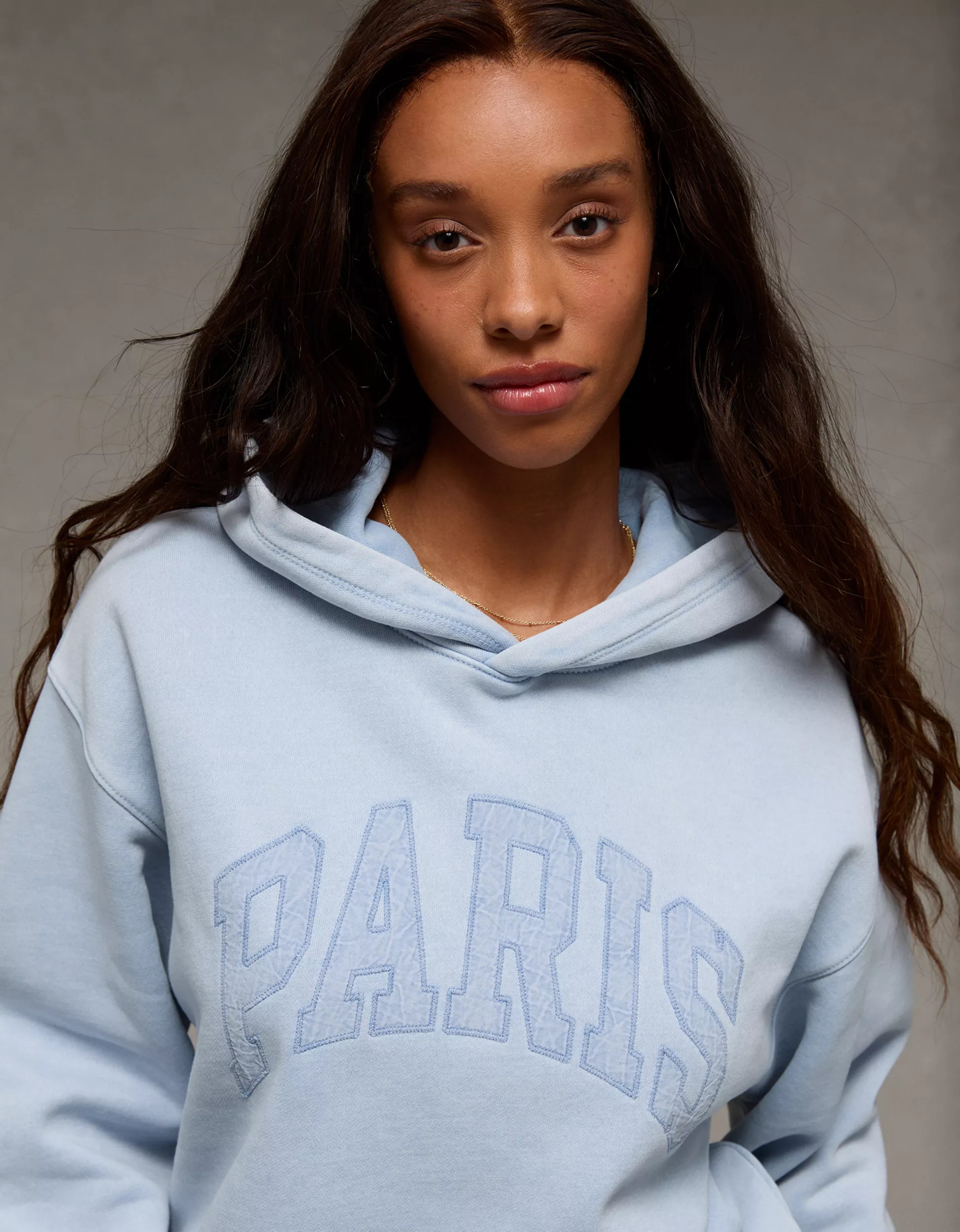 AE Everyday Luxe Graphic Hoodie | American Eagle Outfitters (US & CA)