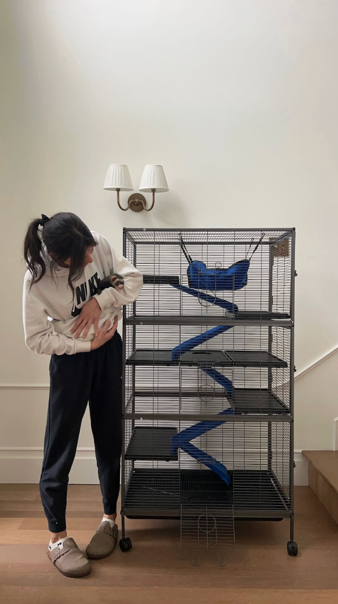 Cozy corner upgrade for the tiniest members of the house 🤍🐾
This multi-level cage setup keeps small pets active, curious, and comfortable—with plenty of room to climb, nap, and play. Perfect for ferrets, rats, chinchillas, and other little explorers.

#ltkhome #ltkpet #petsetup #smallpet #petinspo #cozyhome #petlifestyle #homedecor #petparents #ferret #ratsofinstagram #chinchillalove #petessentials 

 