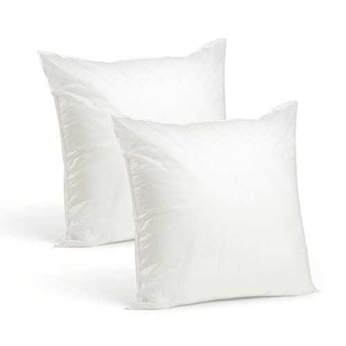 Set of 2-20 x 20 Premium Hypoallergenic Stuffer Pillow Insert Sham Square Form Polyester, Standar... | Amazon (US)